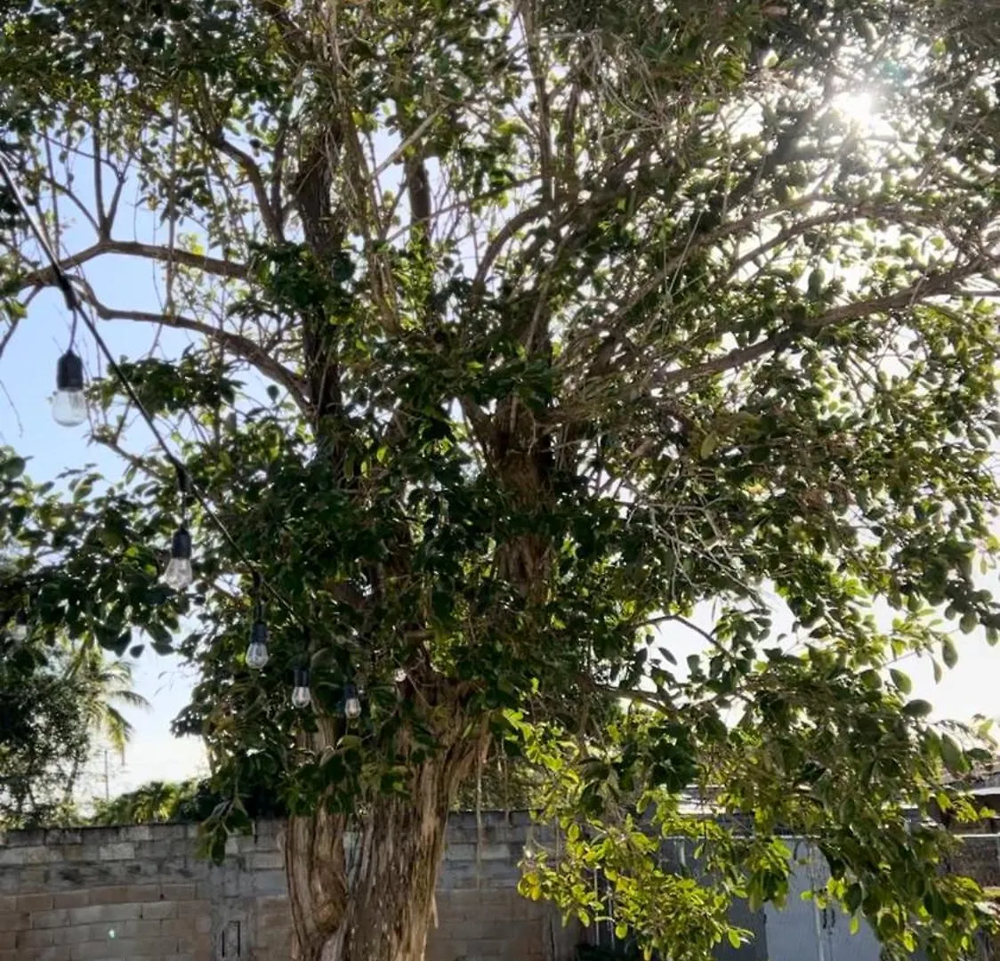 Villa Alborada Arecibo